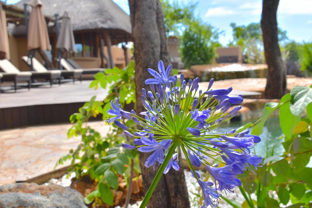 Rhulani Safari Lodge Madikwe Game Reserve Exterior foto